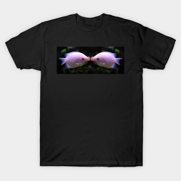 Give Me A Kiss - Kissing Fish T-Shirt by kevfla